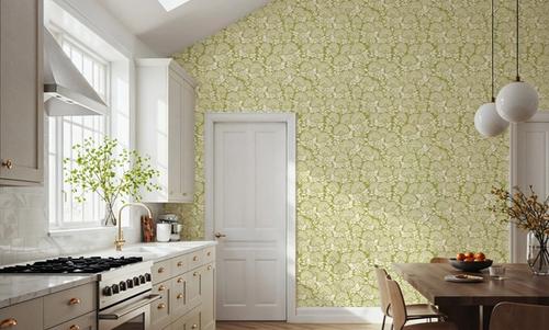 Hydrangea, Pistachio