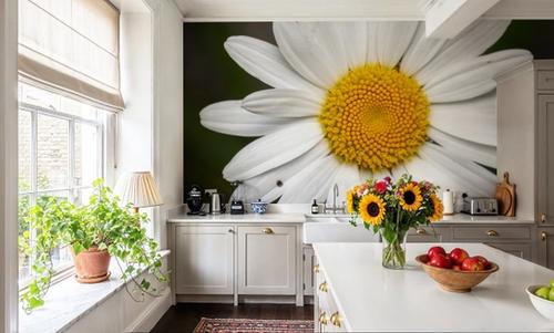 Daisy Petals