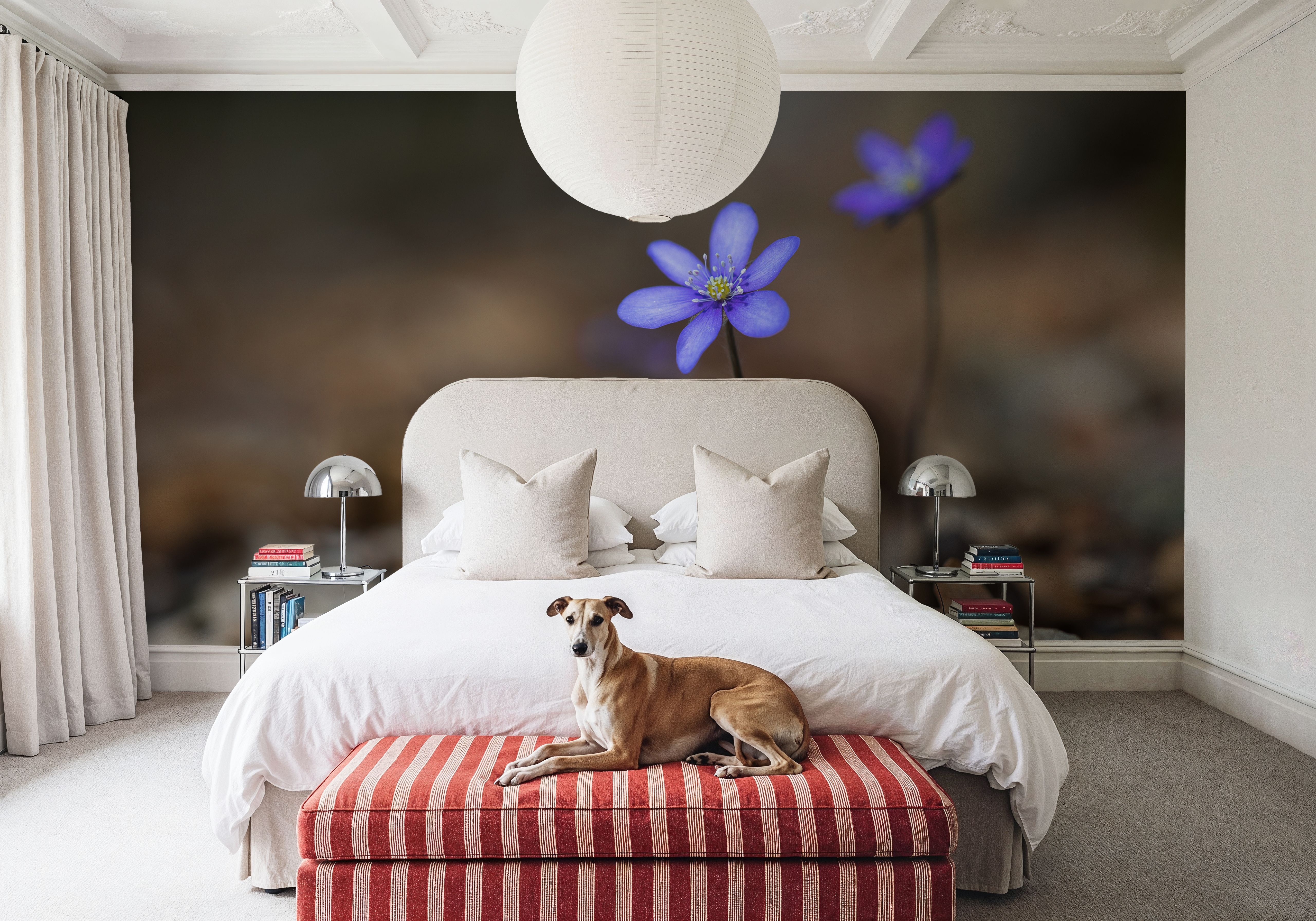 Hepatica Blooming, Tapeten