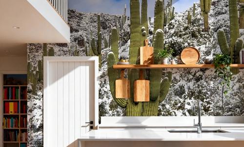 Snowy Desert Cactai