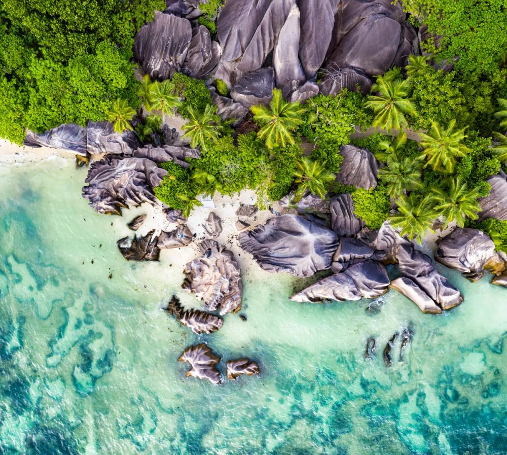 Flying Over The Tropics