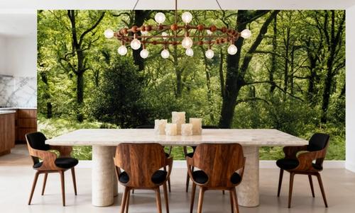 Enchanted Woodland