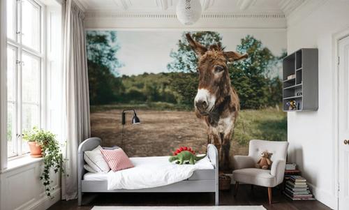 Donkey Tilt