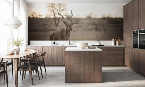 Kudu Bull