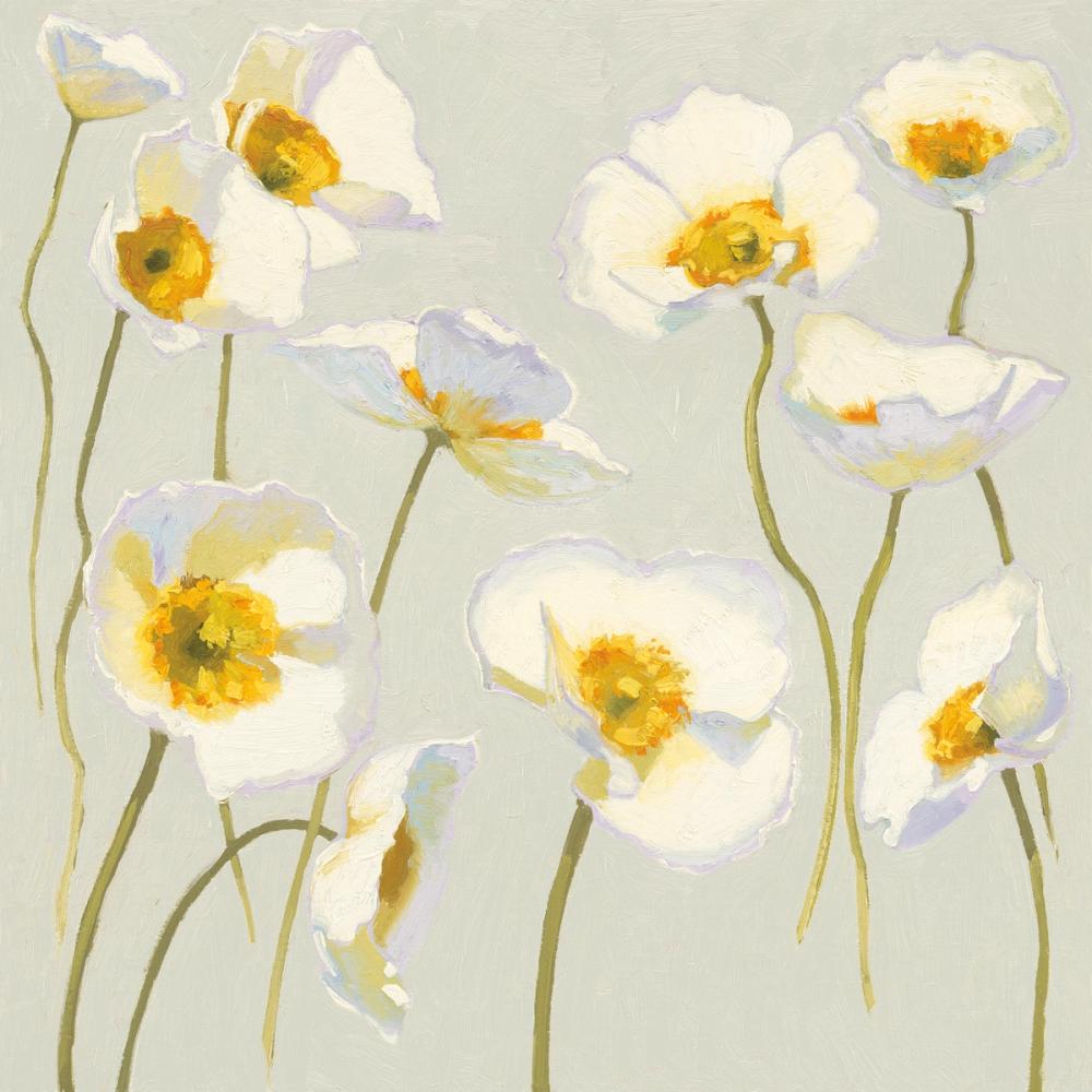 White on White Poppies