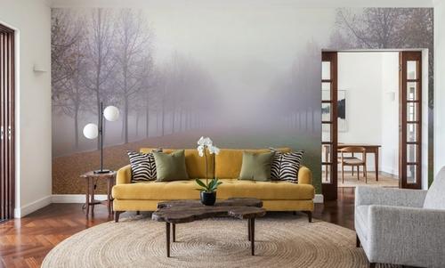 Into the Fog