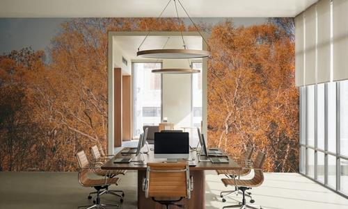 Amber Birch Woods