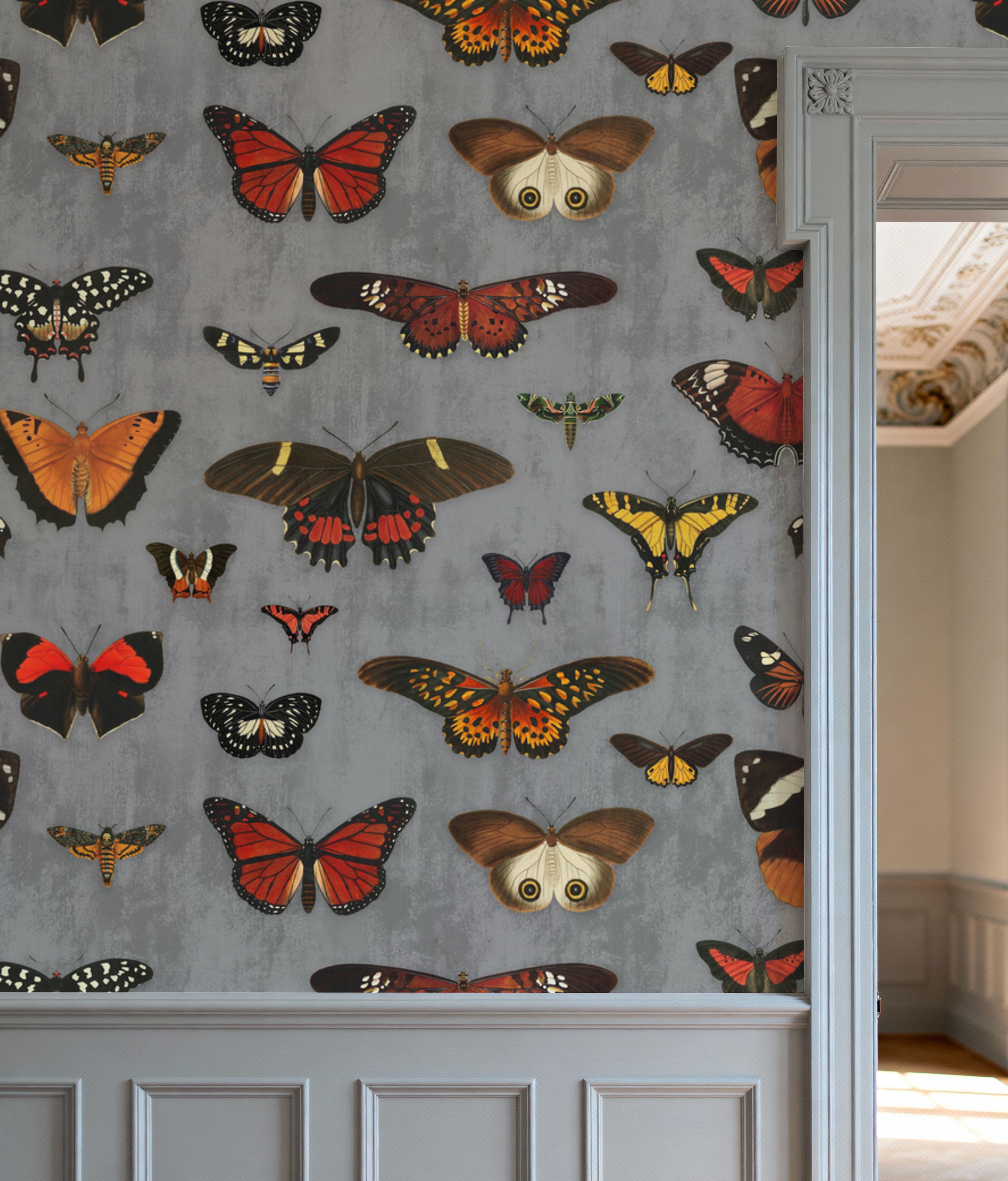 Butterfly Collection Gray