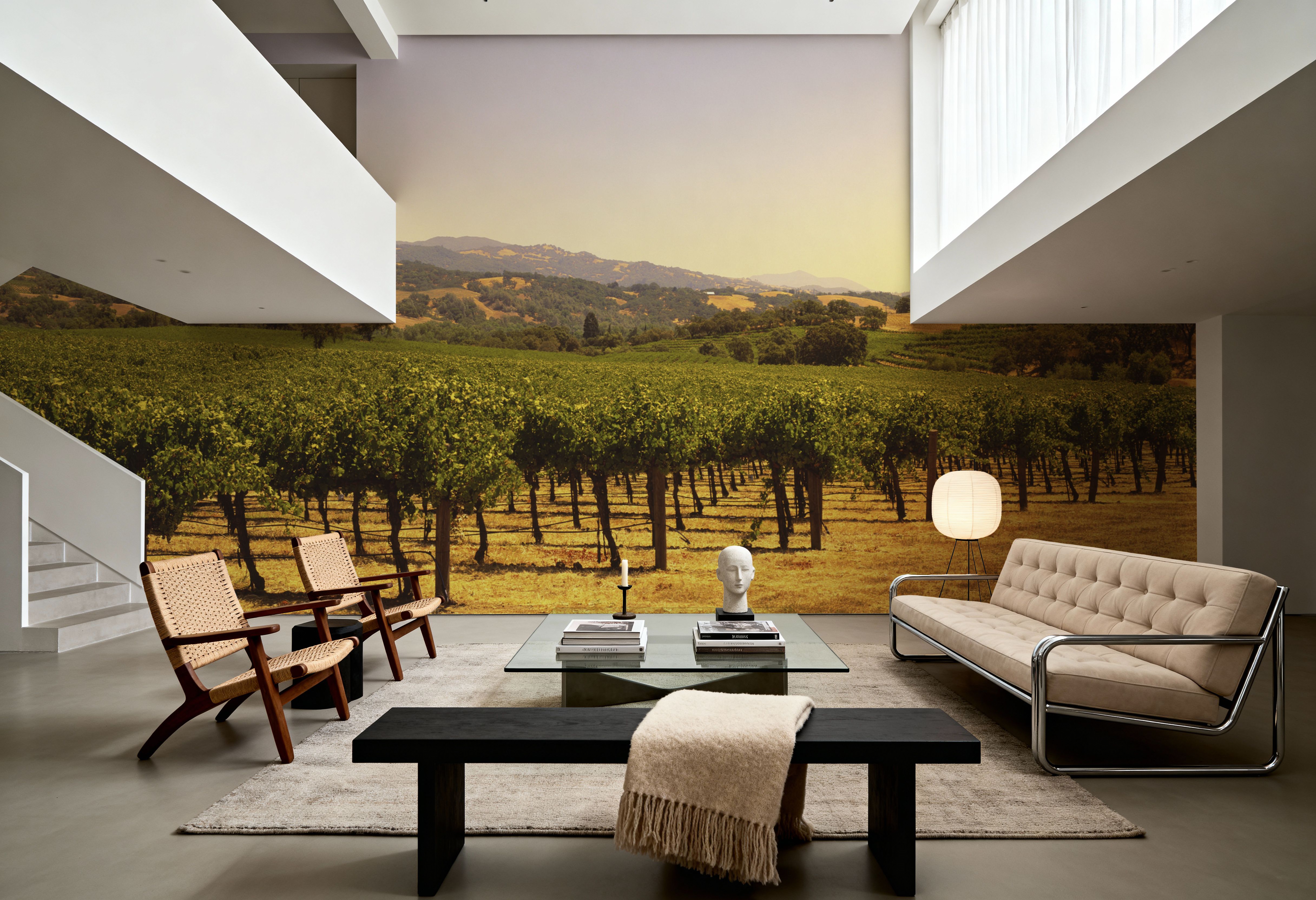 Golden Vineyard Vista