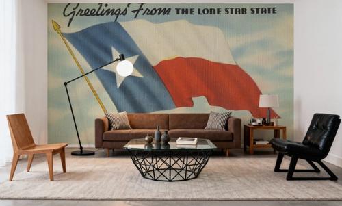 Greetings from the Lone Star State - Screenprint Postcard