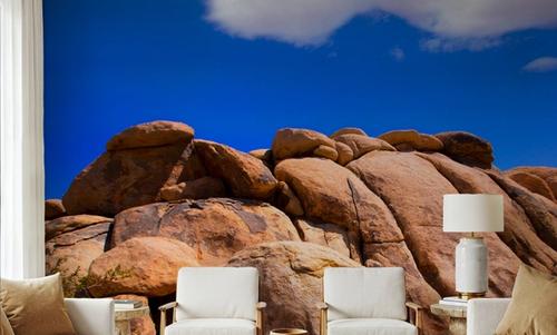 Joshua Tree Blue I