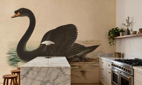 Antique Black Swan