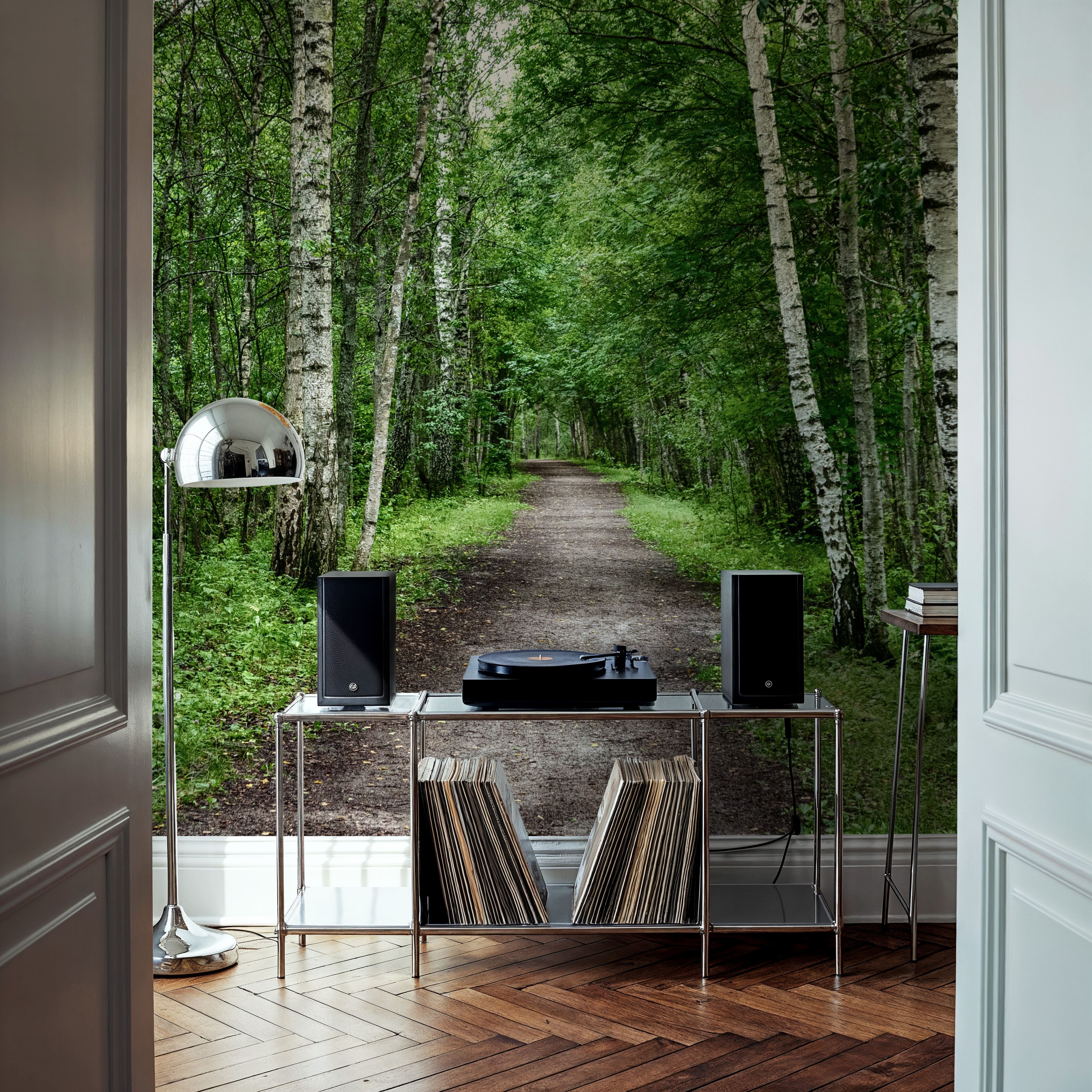 Dark Birch Forest