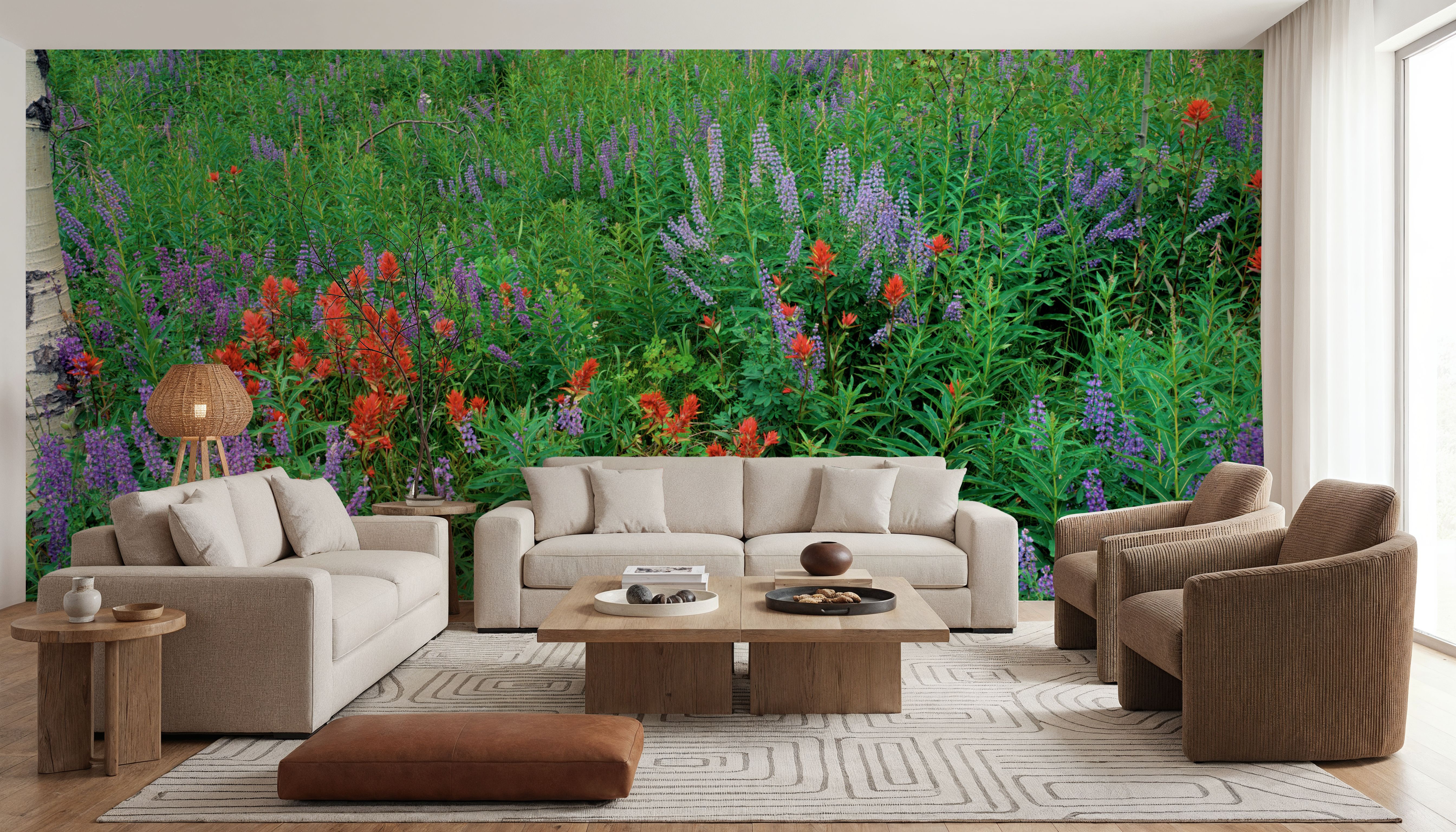 Yellowstone Wildflower