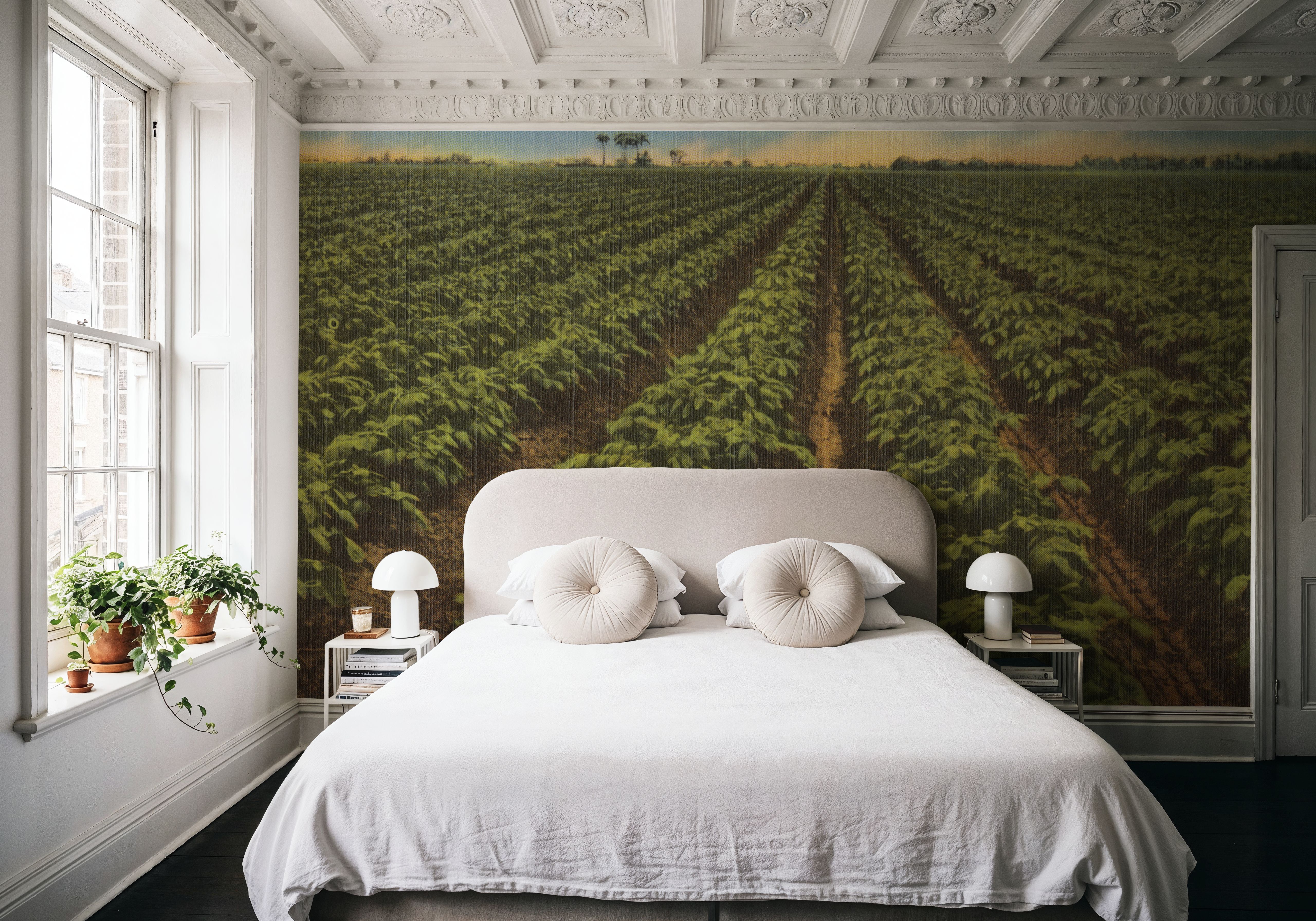 Greetings from Everglades - Screenprint Postcard