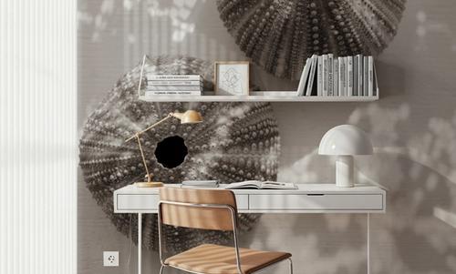 Urchins in Lace I