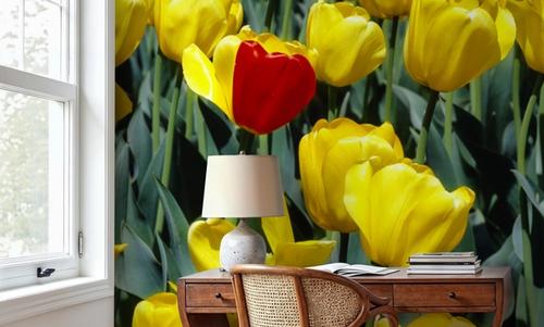 Lone Red Among Yellow