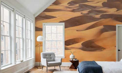 Dune Panorama