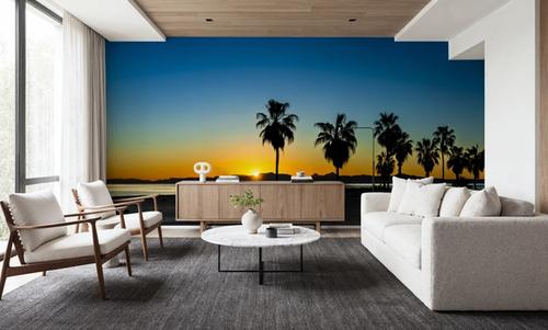 Palm Baja Dawn