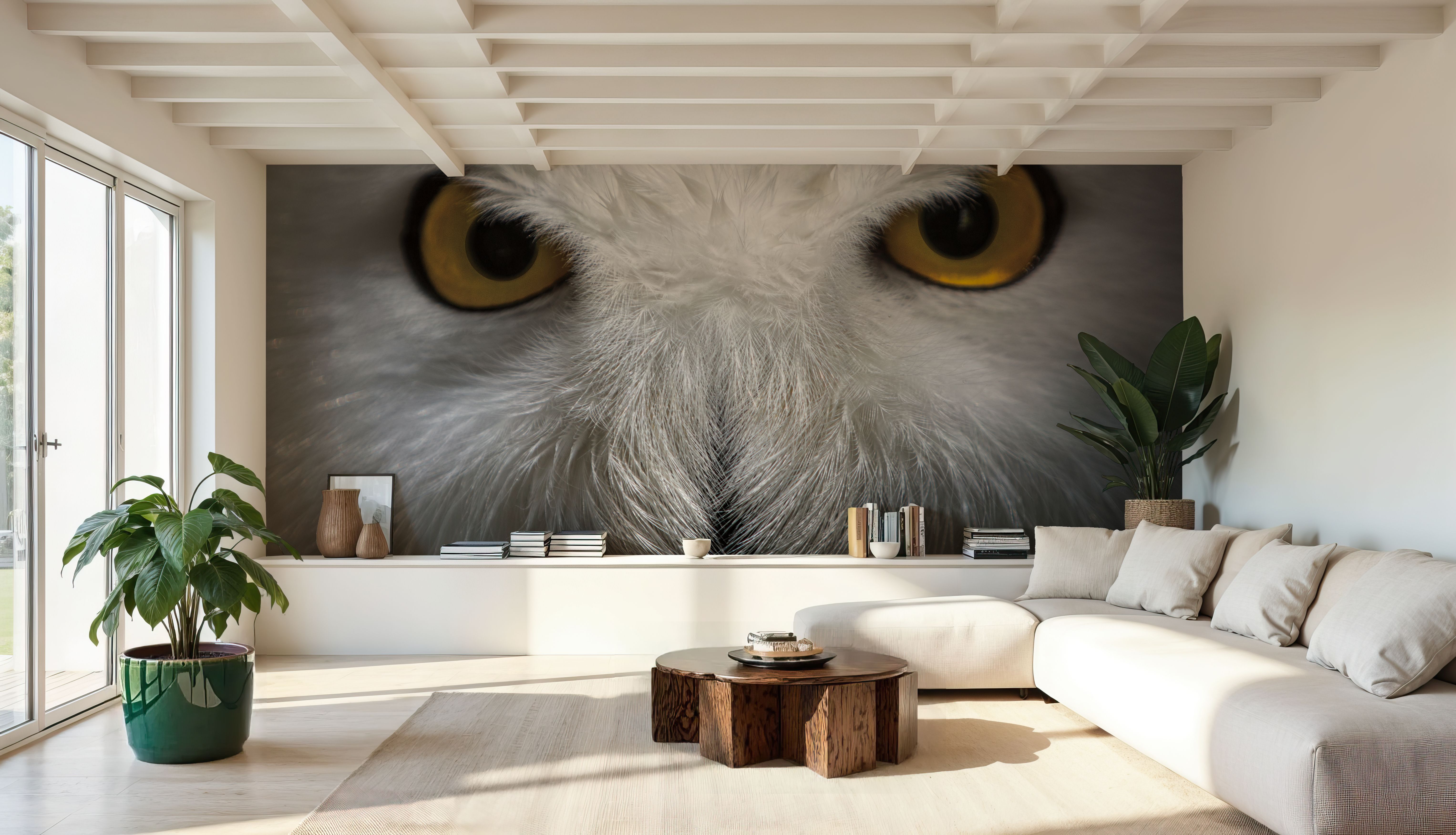 The Owl Star