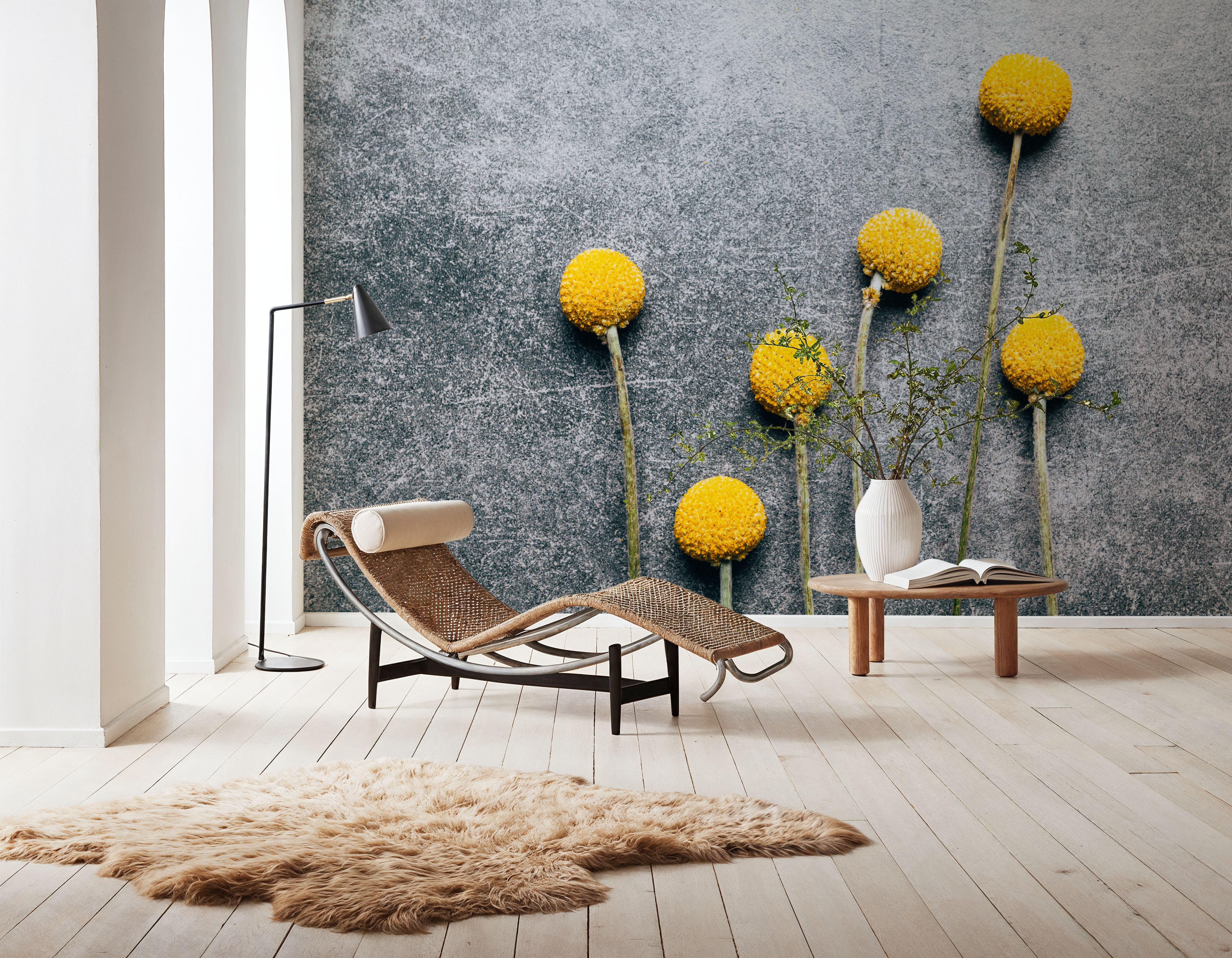 Craspedia Dry Flowers