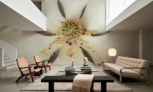 Magnolia Detail I