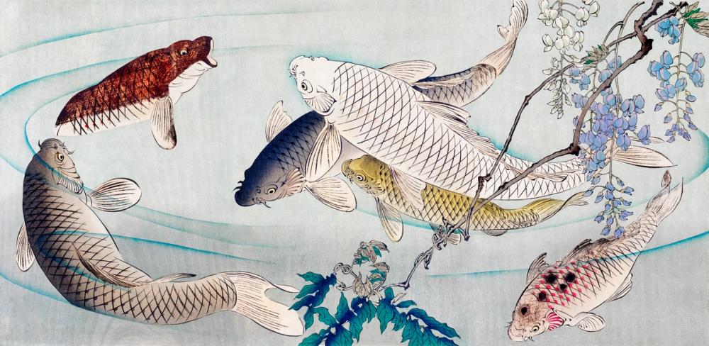 Six Carp Swimming Beneath Wisteria