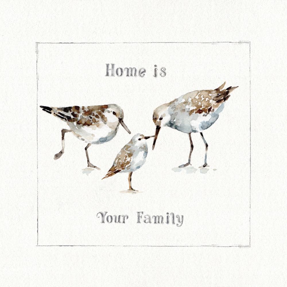 Pebbles and Sandpipers III