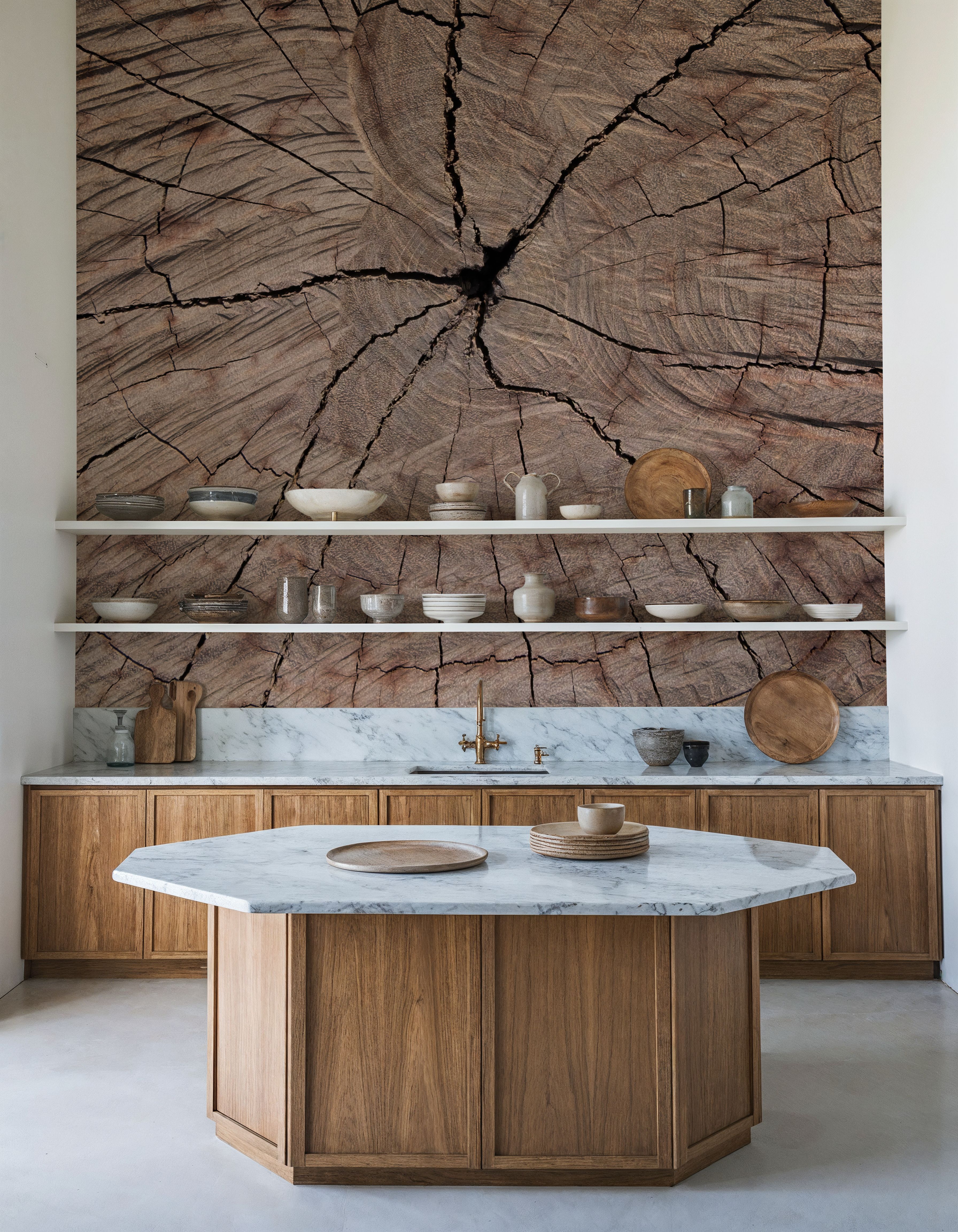 Tree Ring Portrait