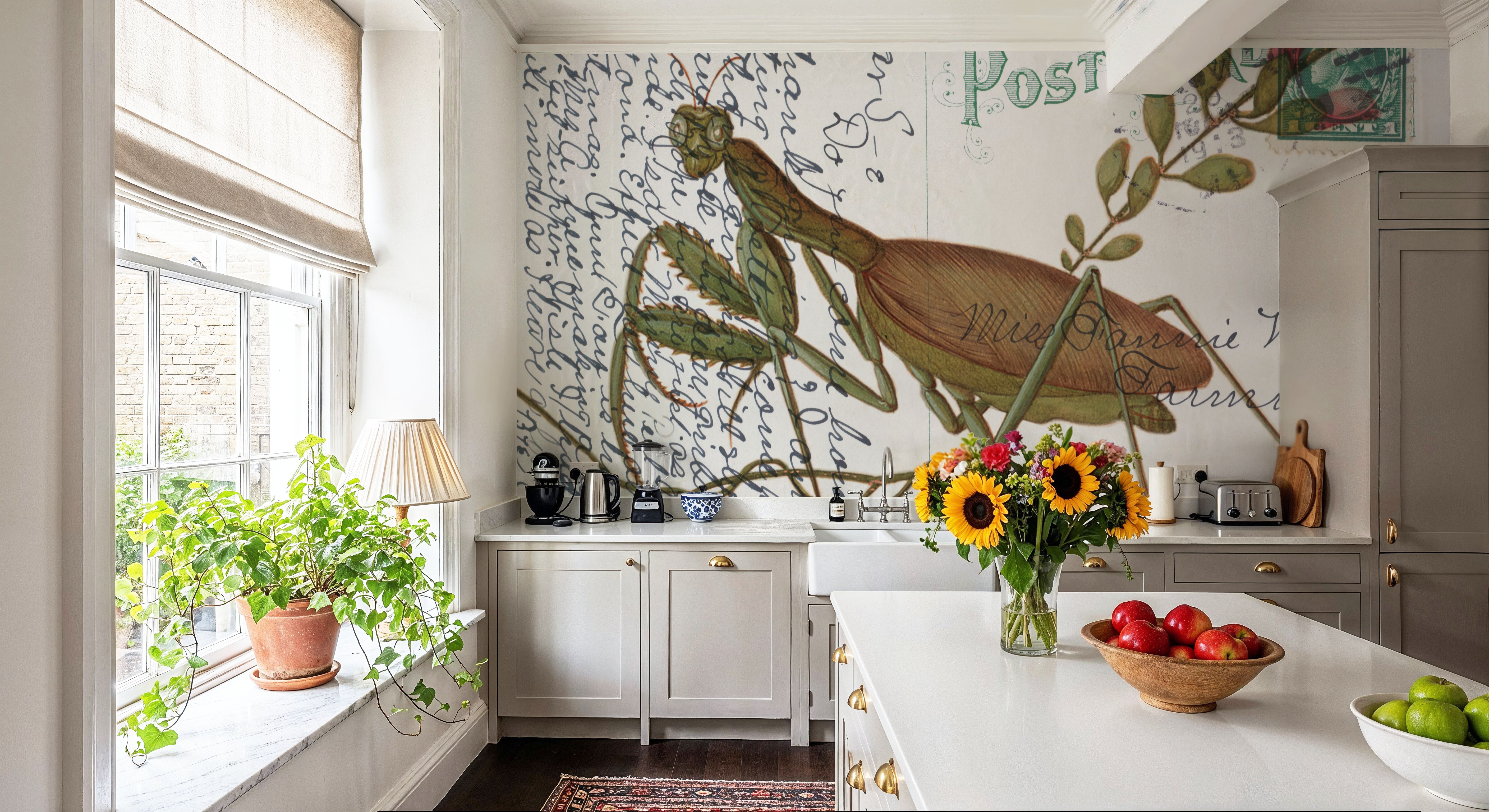 Praying Mantis Postcard