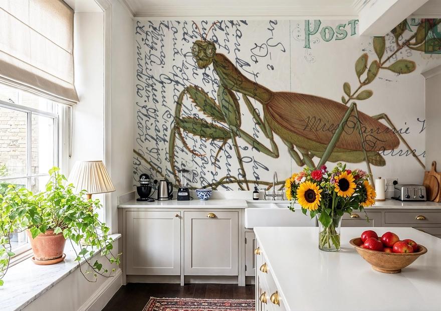 Praying Mantis Postcard