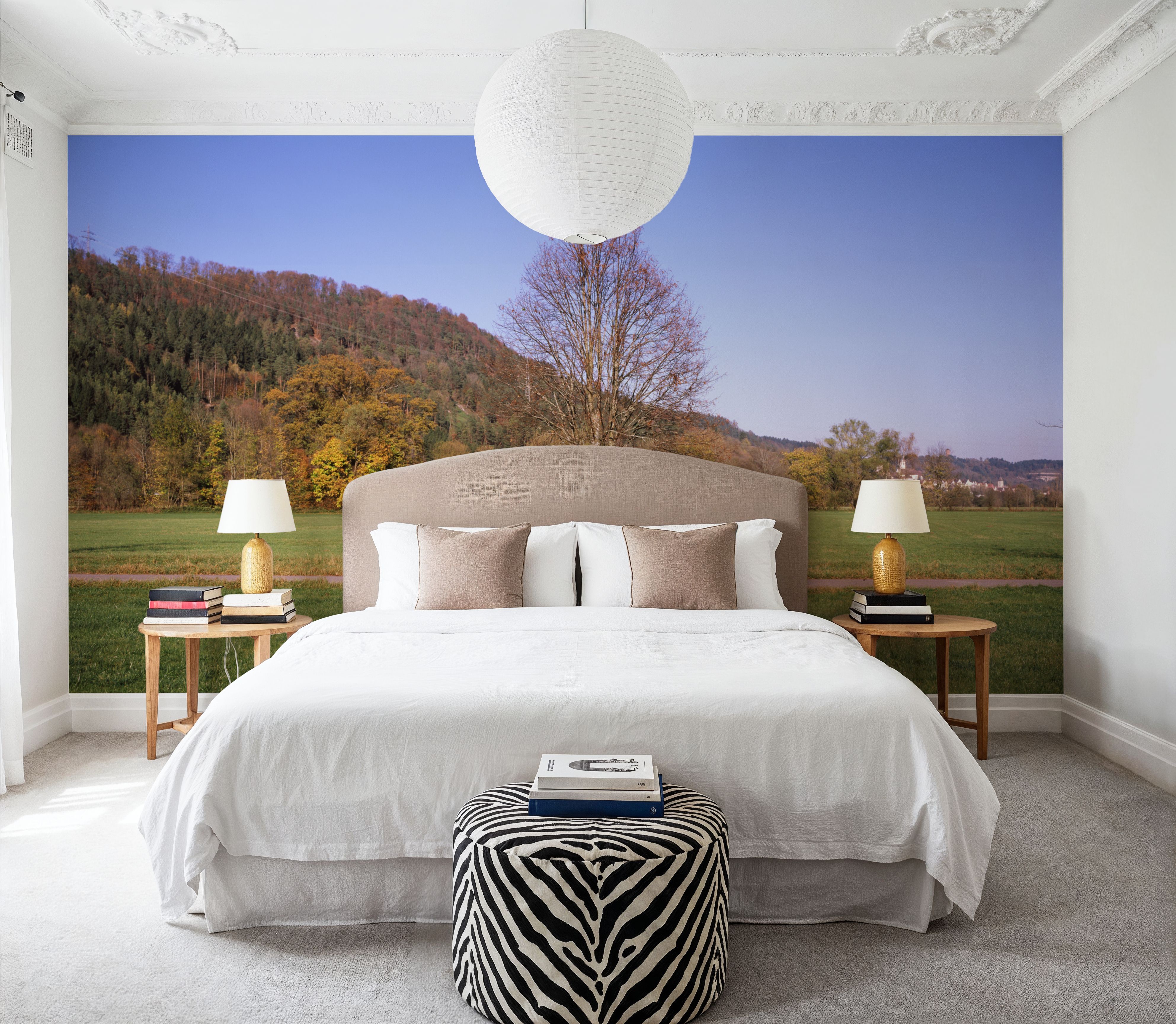 Autumn Trail Horizon