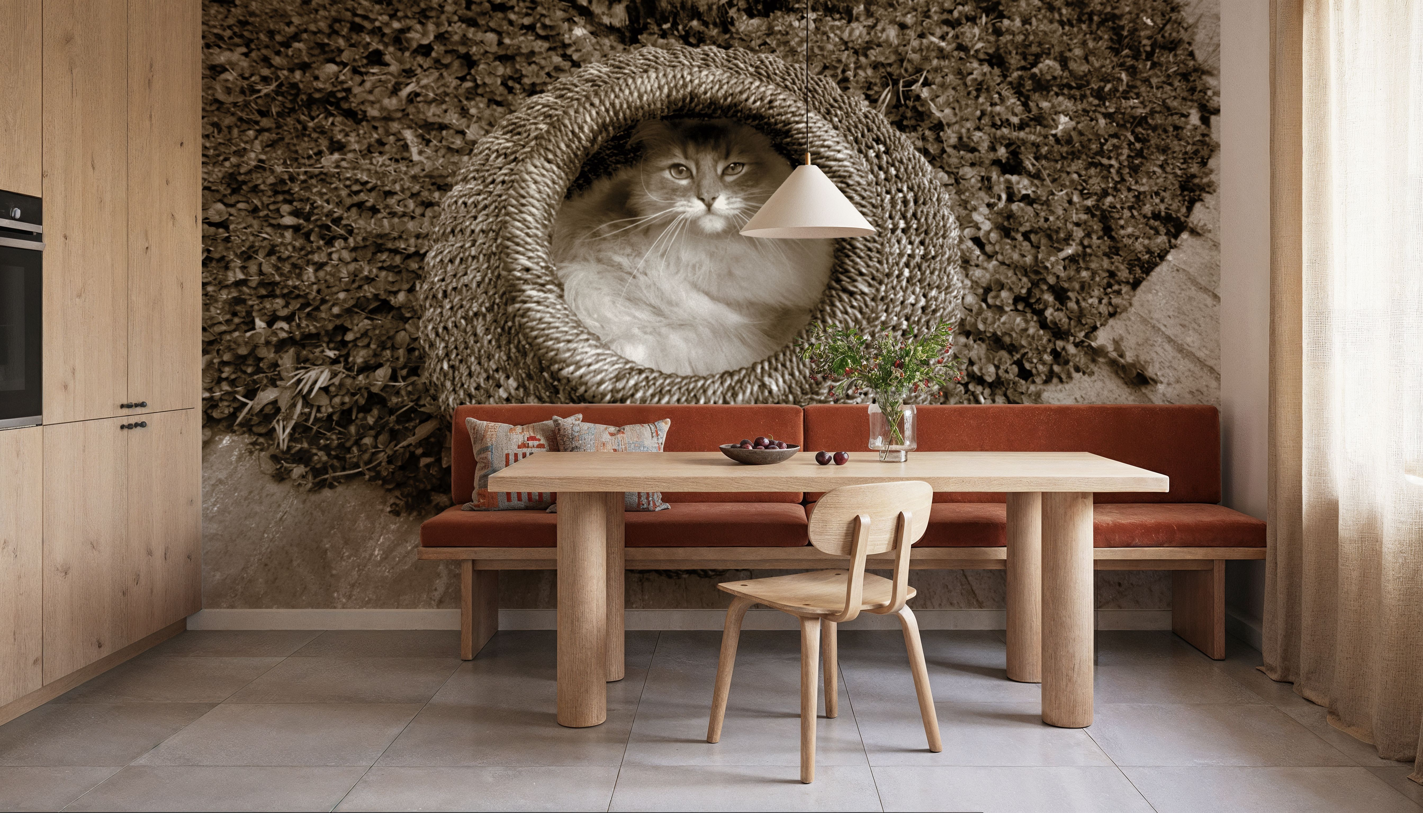 Cat In The Basket, Wallpaper