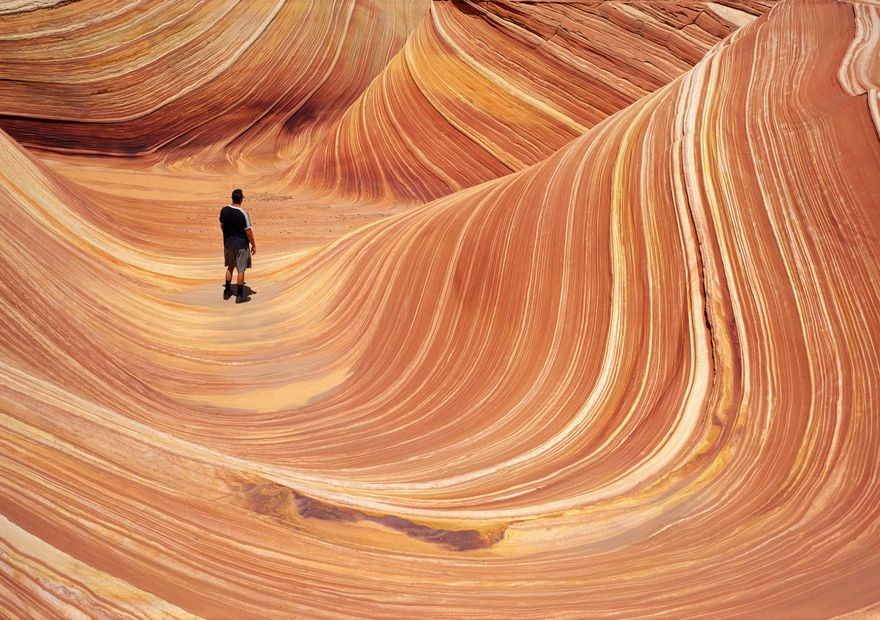 Lonely in the Wave