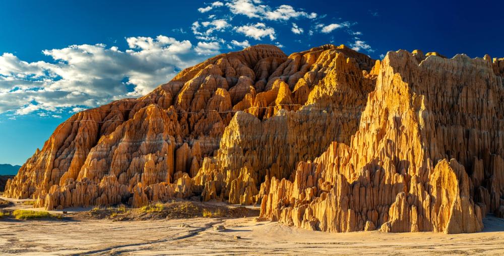 Rise to the Occasion