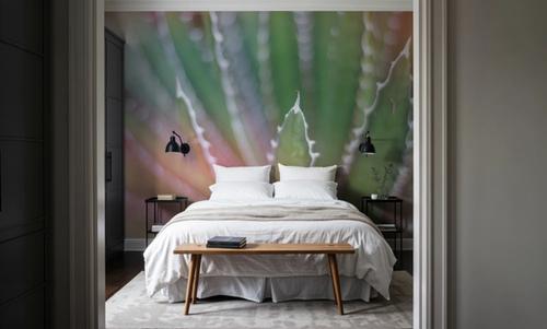 Dream Desert II