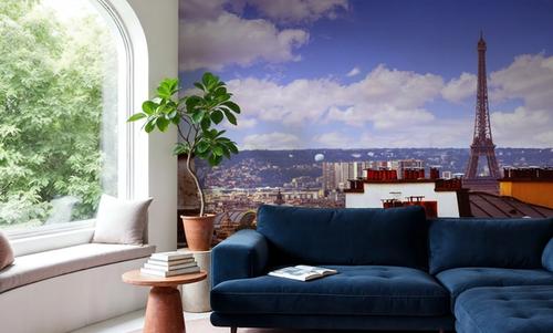 Parisian Rooftop Vista