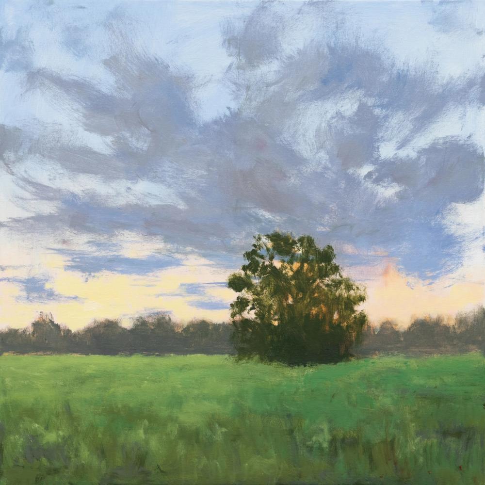 Tree at Sunset