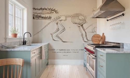 Ungulate Illustrated