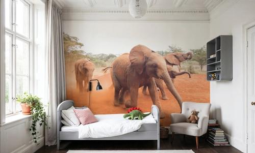 Elephant Race