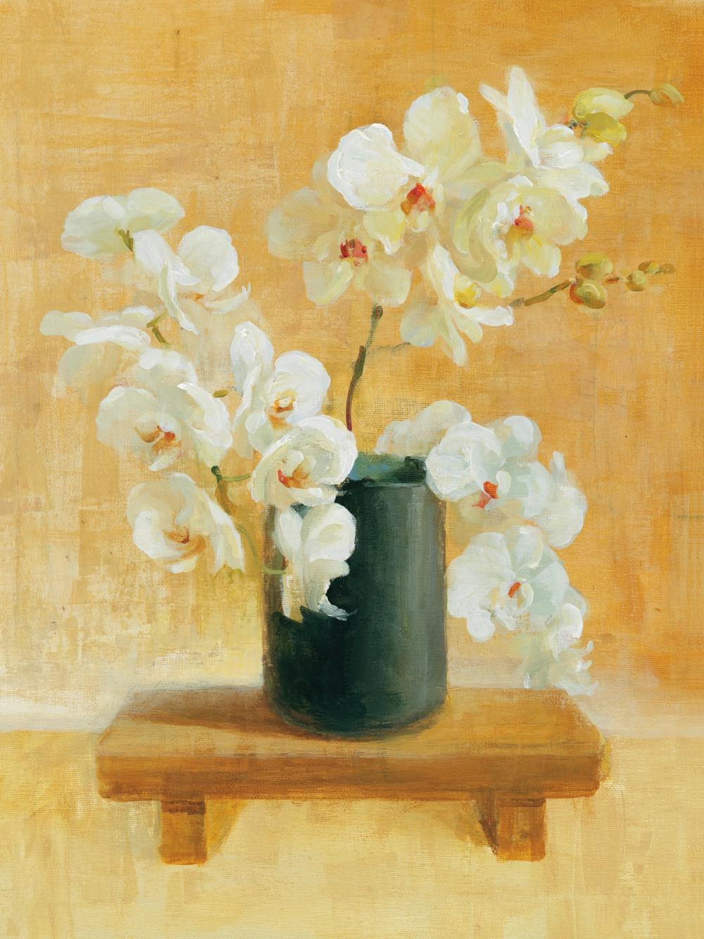 White Orchids in Black Vase