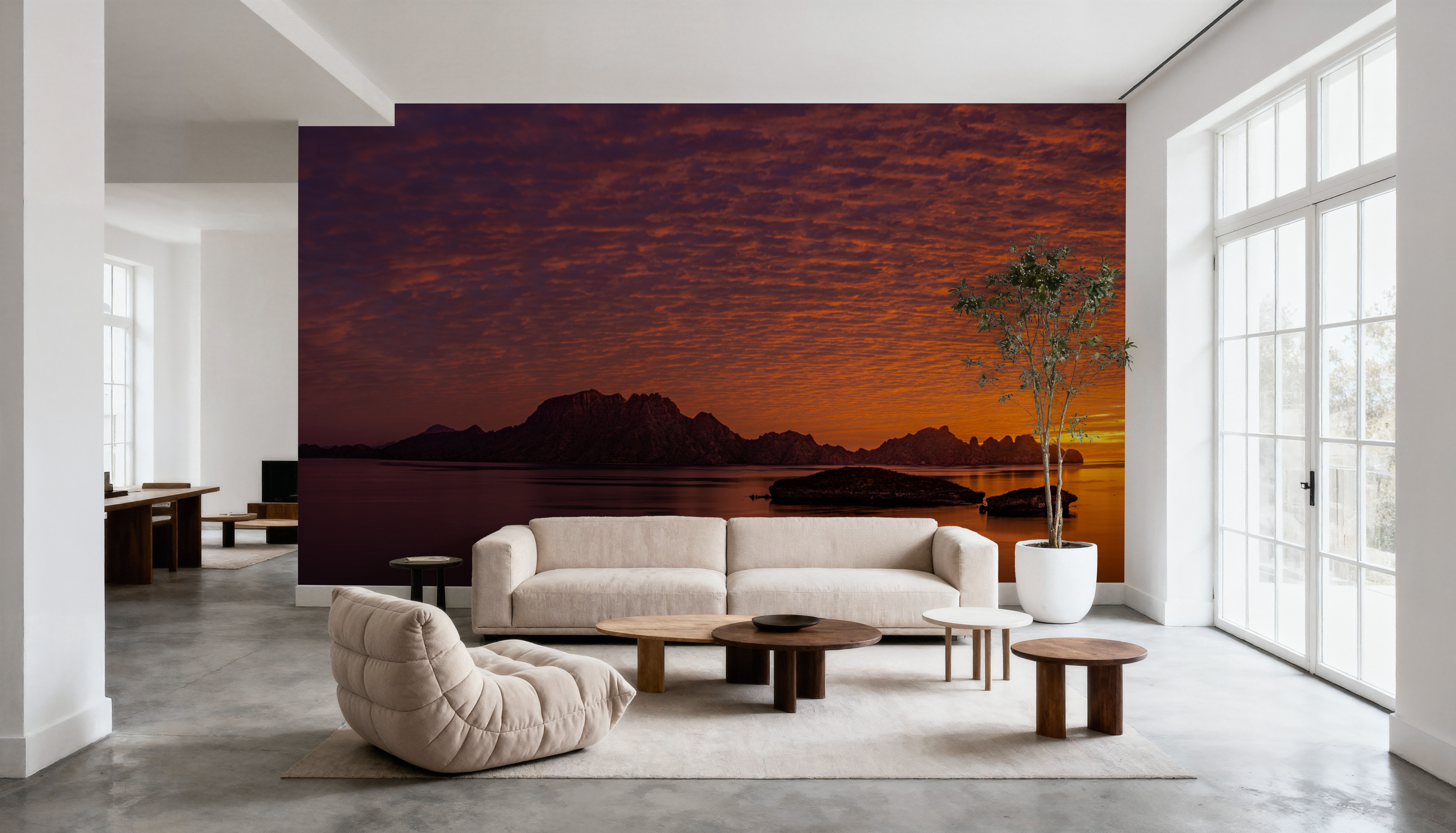 Baja Sunrise