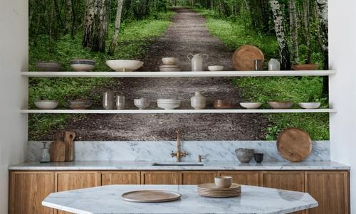 Dark Birch Forest