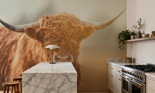 Highland Cow Pastures II