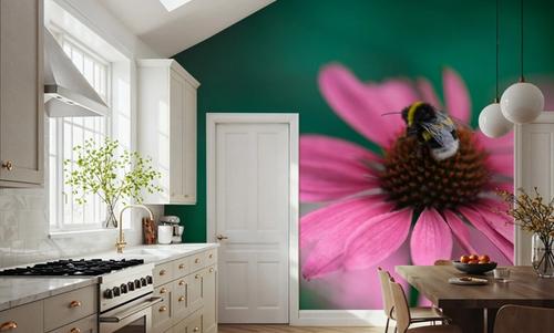 Echinacea & Bumblebee
