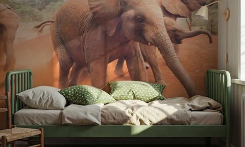 Elephant Race
