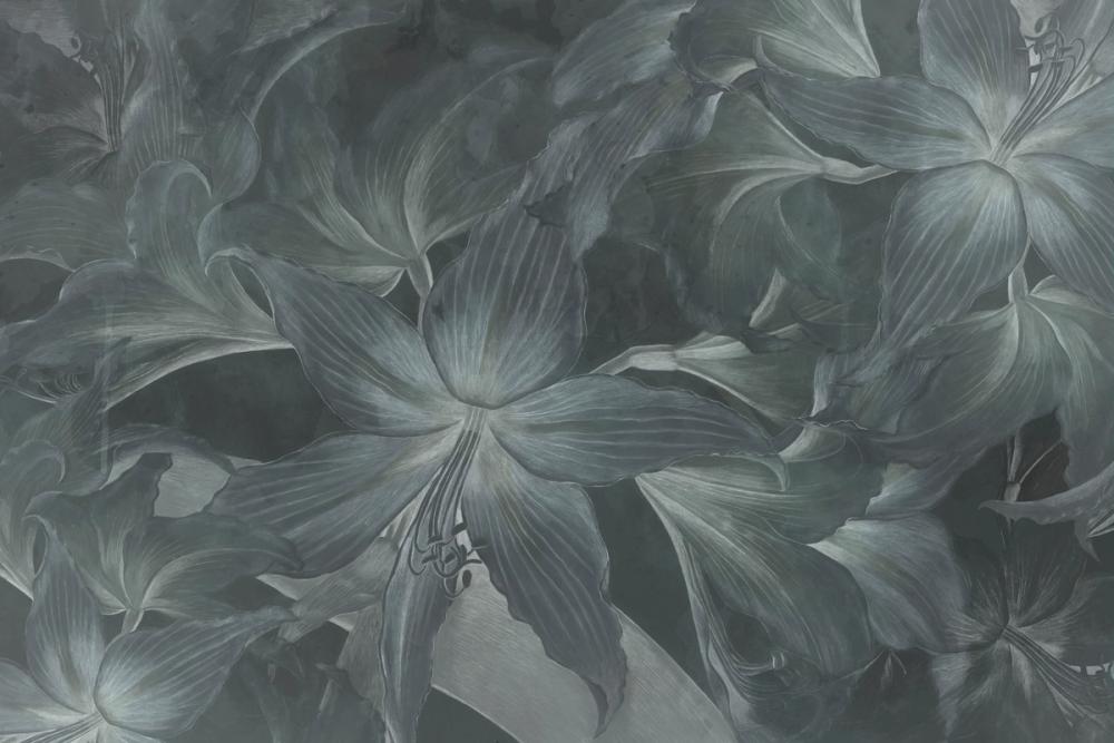 Amarantus Dream Teal