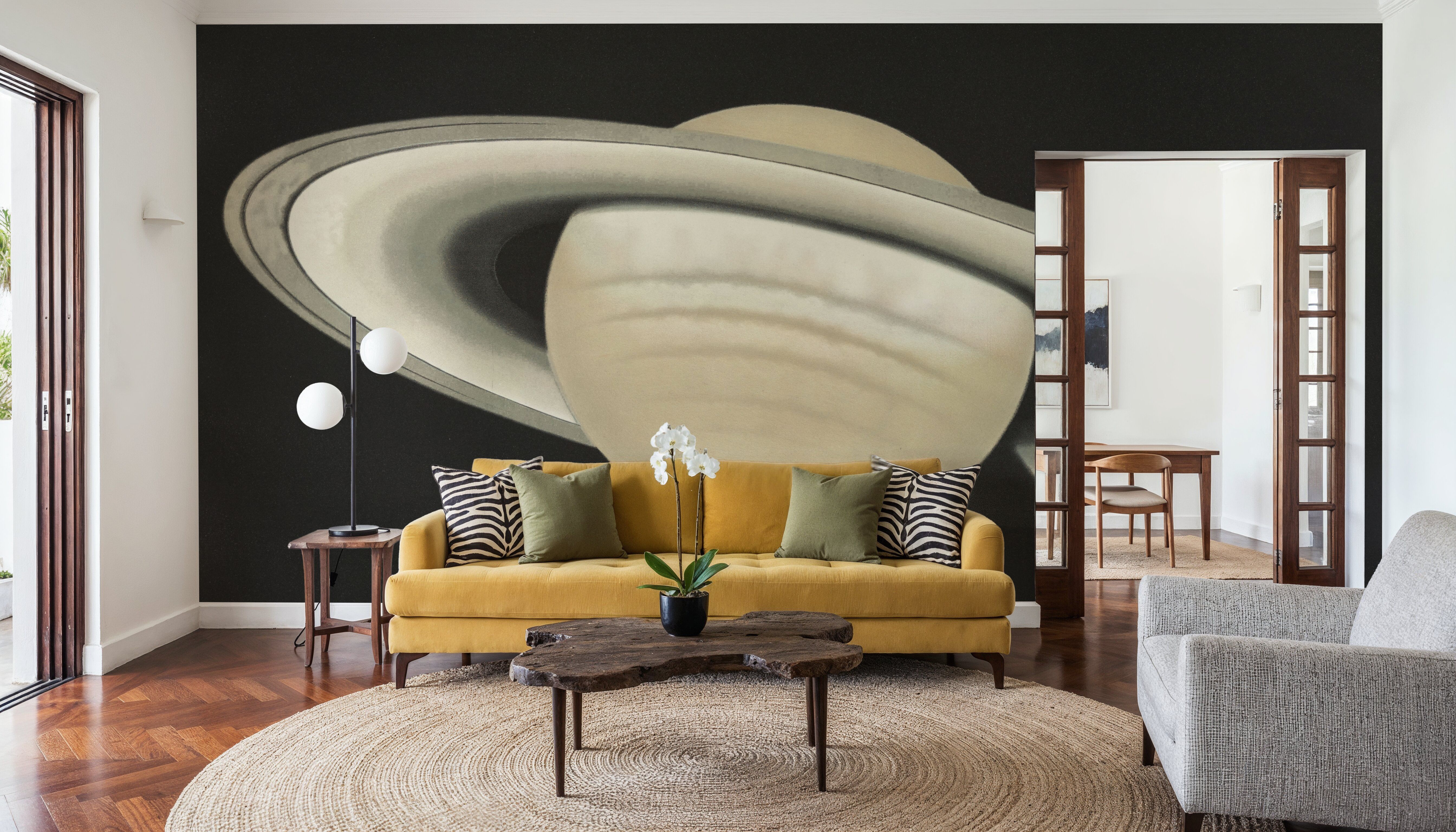 The Planet Saturn