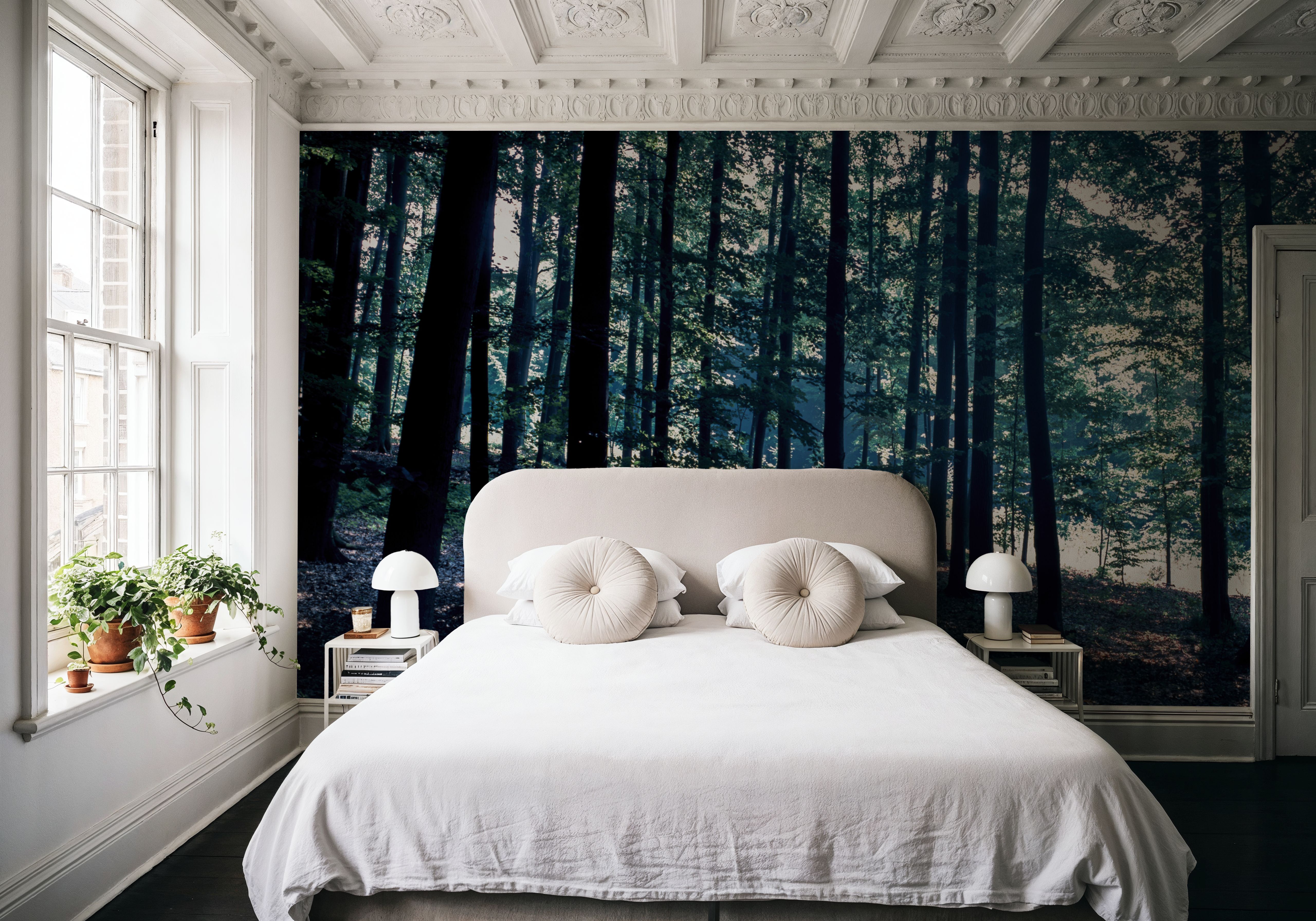 Dappled Forest Light