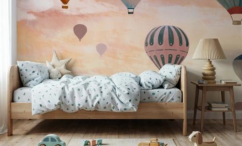 Airballoon Sky